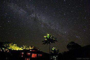Macadamia Meadows Farm Bed & Breakfast Naalehu Exterior photo